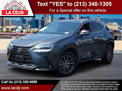 2024 Lexus NX